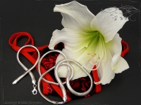 Schlangenkette Armband oval D4.5L21cm