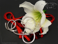 Schlangenkette oval D6.0L40cm