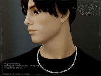 Panzerkette B5.0L60scm