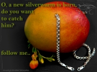 Silberkette Armband Venezia Ru B5.3L25cm