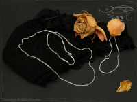 Silberkette Armband Venezia Ru B1.5L19cm